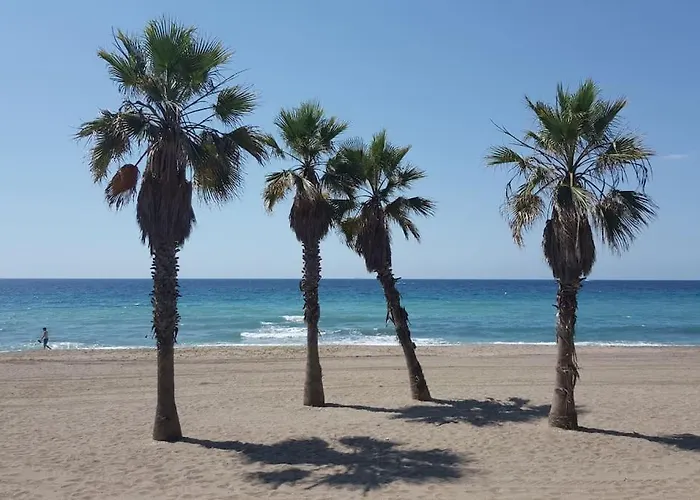 Sea View In Marbella